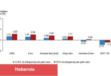 Aylık en yüksek gerçek getiri Devlet İç Borçlanma Senetleri (DİBS)'te oldu