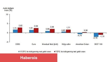 Aylık en yüksek gerçek getiri Devlet İç Borçlanma Senetleri (DİBS)'te oldu