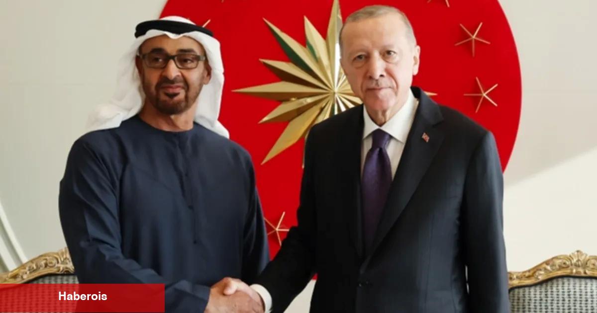 BAE Devlet Başkanı Türkiye'ye geliyor