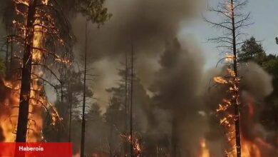 Bakan Yumaklı’dan orman yangını uyarısı: Yeşil Vatan'ı daima birlikte koruyalım