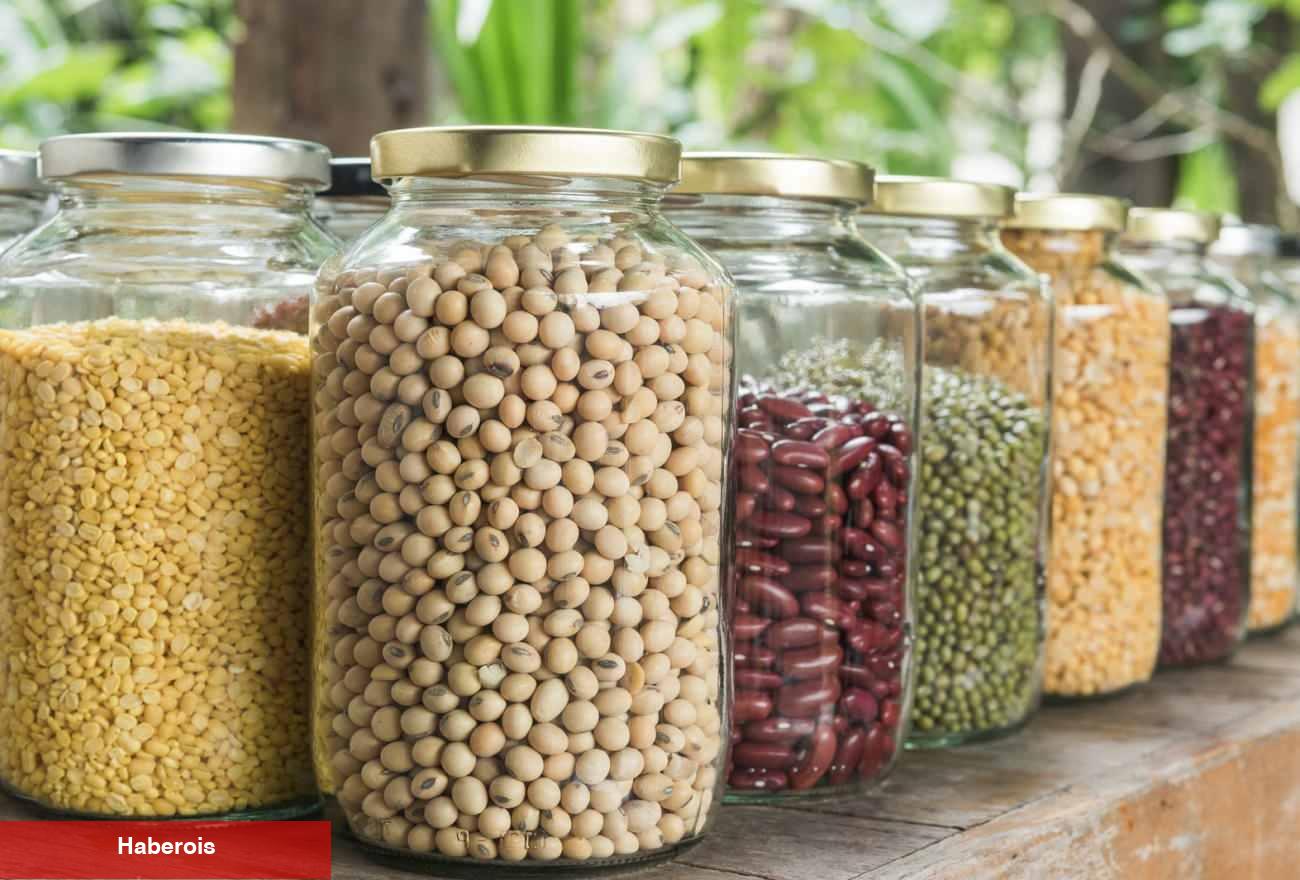 Bakliyat böceklenmesine son! Konutta kuru bakliyatları gerçek saklama