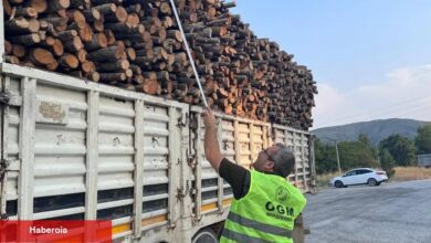 Bilecik Pazaryeri’nde orman emvali kontrolü