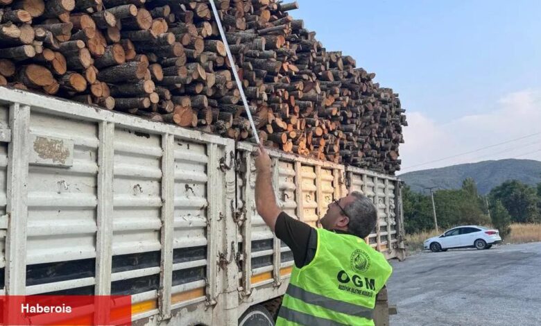 Bilecik Pazaryeri’nde orman emvali kontrolü