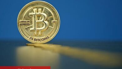 Bitcoin ETF’i IBIT, iShares Core S&P 500 ETF’inden daha fazla gelir elde etti