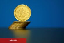 Bitcoin fiyatı rekor kırmaya devam ediyor, 117 bin dolar hududuna dayandı