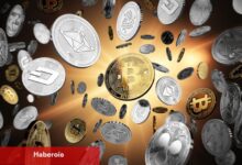Bitcoin yeni rekorlarla yükselirken altcoin dönemi sinyalleri güçleniyor