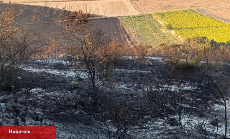 Bursa Karacabey’de orman yangını: 500 dönüm ziyan gördü - Haberois Bursa Karacabey’de orman yangını: 500 dönüm ziyan gördü