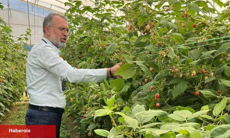 Bursa Kestel ve Gürsu’dan Sırbistan’a tarım çıkarması - Haberois Bursa Kestel ve Gürsu’dan Sırbistan’a tarım çıkarması