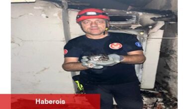 Büyükşehir yangın bölgelerindeki tüm canlıların yardımına koştu - Haberois Büyükşehir yangın bölgelerindeki tüm canlıların yardımına koştu