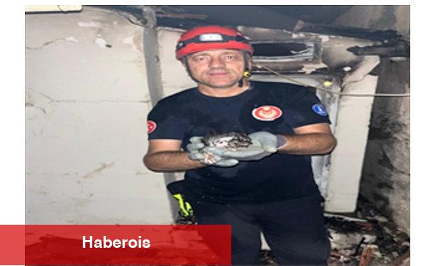 Büyükşehir yangın bölgelerindeki tüm canlıların yardımına koştu