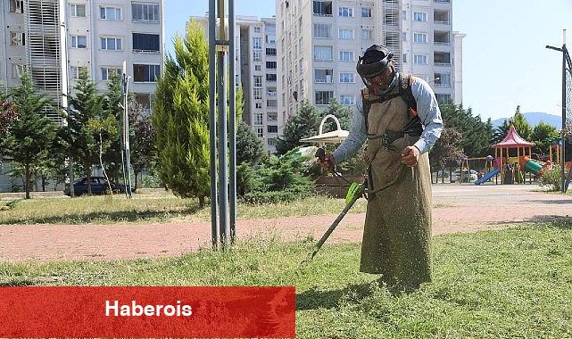 Canik'te Parklar Bakımlı ve Tertemiz - Haberois Canik'te Parklar Bakımlı ve Tertemiz