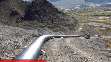 Çin ve Rusya, Pekin görüşmelerinde gelecekteki gaz tedarikini ele aldı
