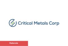 Critical Metals, Tanbreez projesinde 2025 sondaj programına başladı