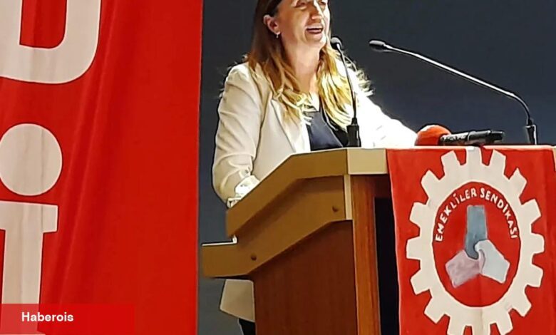 DİSK Emekli-Sen'den Ankara’da büyük buluşma
