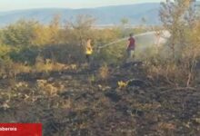Düzce Konuralp’te örtü yangını denetim altında