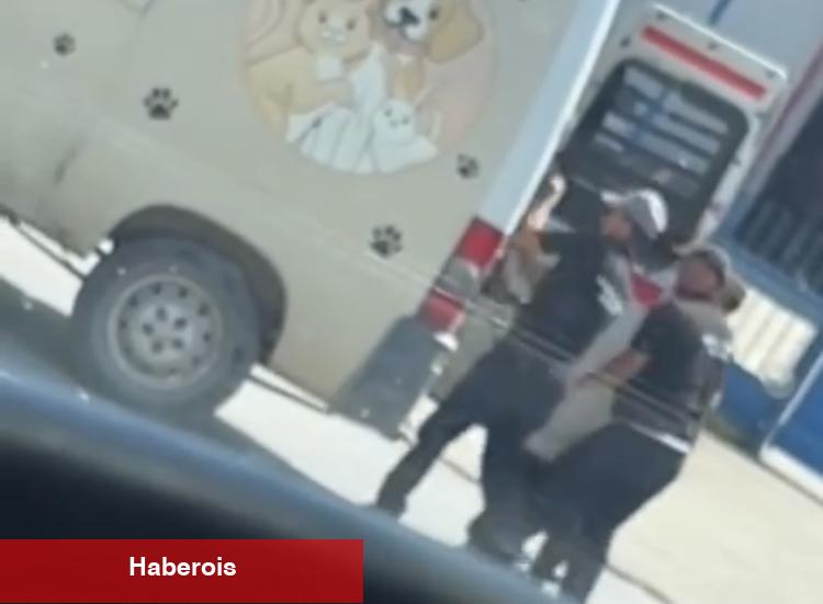 Düzce’de sokak köpeklerinin toplanma manzaraları toplumsal medyada reaksiyon çekti