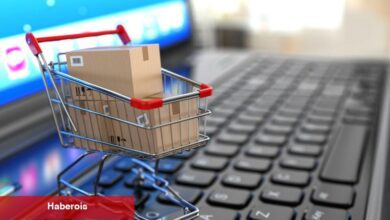 e-Ticaret bölümünde 44,5 milyar liralık kayıt dışı gelir tespit edildi