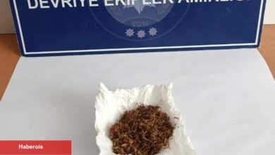 Edirne Keşan’da narkotik kontrolü
