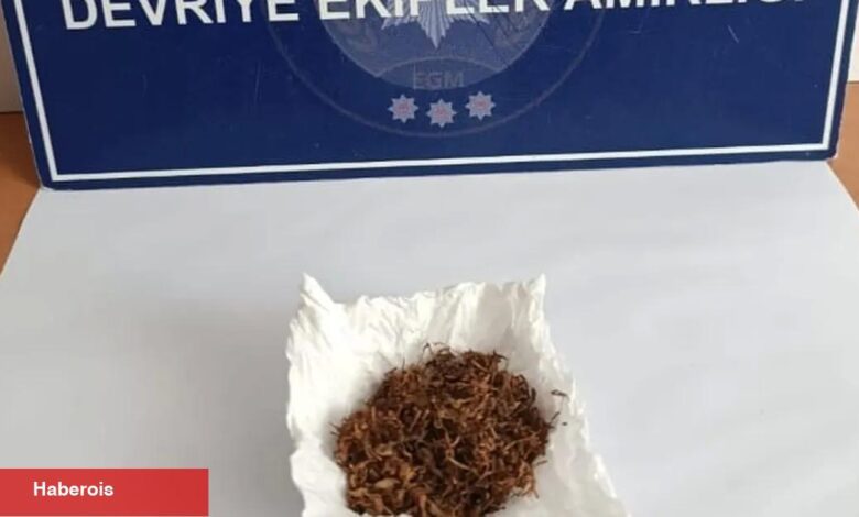 Edirne Keşan’da narkotik kontrolü - Haberois Edirne Keşan’da narkotik kontrolü