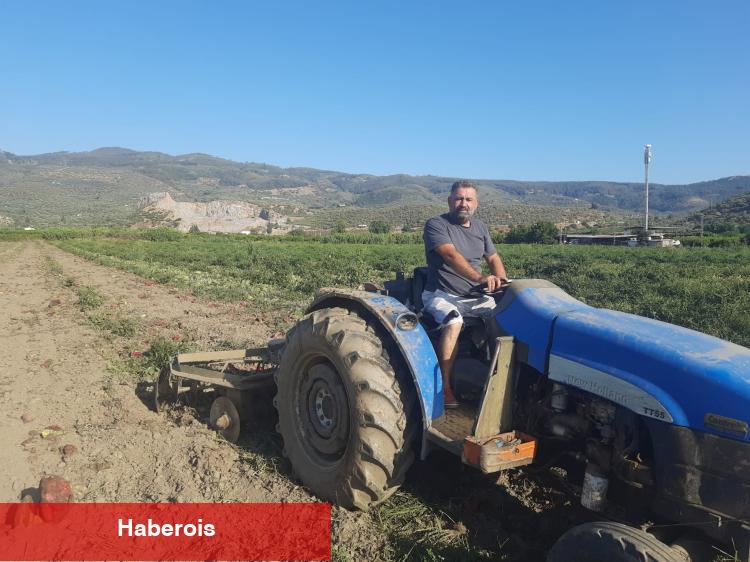 Efes Selçuk’ta karpuz tarlasında umut filizlendi! Üretici çaresiz, belediye takviyede - Haberois Efes Selçuk’ta karpuz tarlasında umut filizlendi! Üretici çaresiz, belediye takviyede
