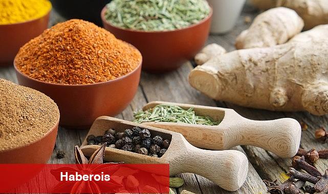 Ege Bölgesi haziran ayında 3 milyar 434 milyon dolar ihracat gerçekleştirdi - Haberois Ege Bölgesi haziran ayında 3 milyar 434 milyon dolar ihracat gerçekleştirdi