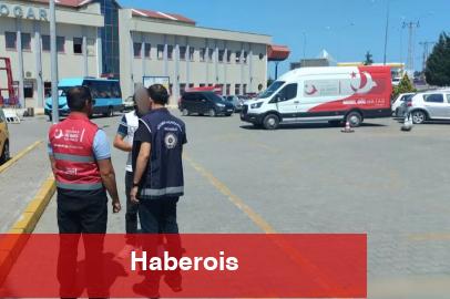 Göçmen kaçakçılığına darbe! 32 organizatör ile 572 sistemsiz göçmen yakalandı