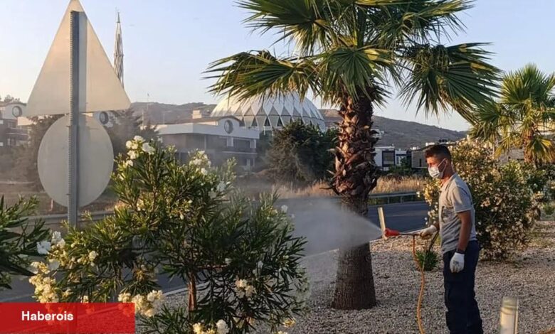 Güzelbahçe Belediyesi’nden hizmet seferberliği - Haberois Güzelbahçe Belediyesi’nden hizmet seferberliği