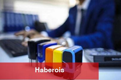 Haziran'da 531 firma Dahilde Sürece Müsaadesi aldı