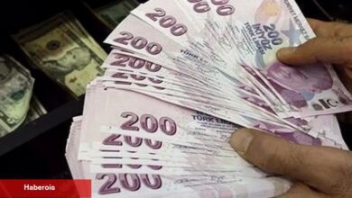 İktisada yönelik düzenlemeler 'Resmi'leşti