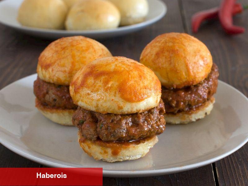 Islak Hamburger Tanımı