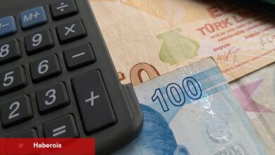 İşsizlik Sigortası Fonu'na ait Cumhurbaşkanı Kararı Resmi Gazete'de