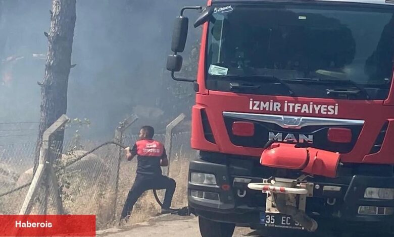 İzmir Bergama’da orman yangınına müdahale ediliyor