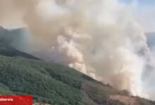 İzmir Bergama’daki yangın denetim altında... Bilecik ve Sakarya’da müdahale sürüyor