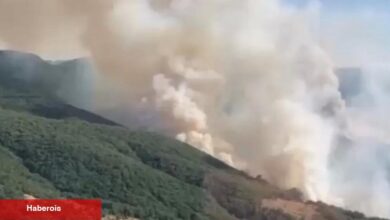 İzmir Bergama’daki yangın denetim altında... Bilecik ve Sakarya’da müdahale sürüyor