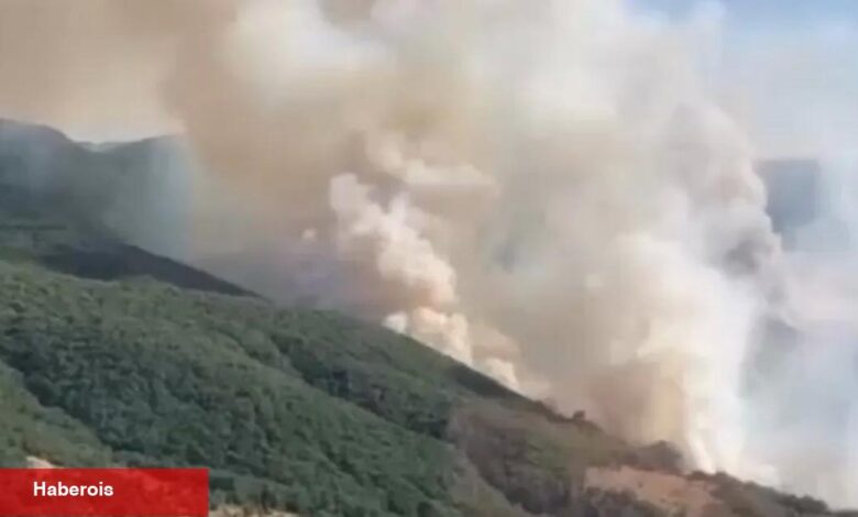 İzmir Bergama’daki yangın denetim altında... Bilecik ve Sakarya’da müdahale sürüyor