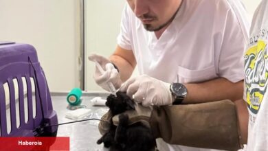 İzmir Büyükşehir tüm canlılar için harekete geçti - Haberois İzmir Büyükşehir tüm canlılar için harekete geçti