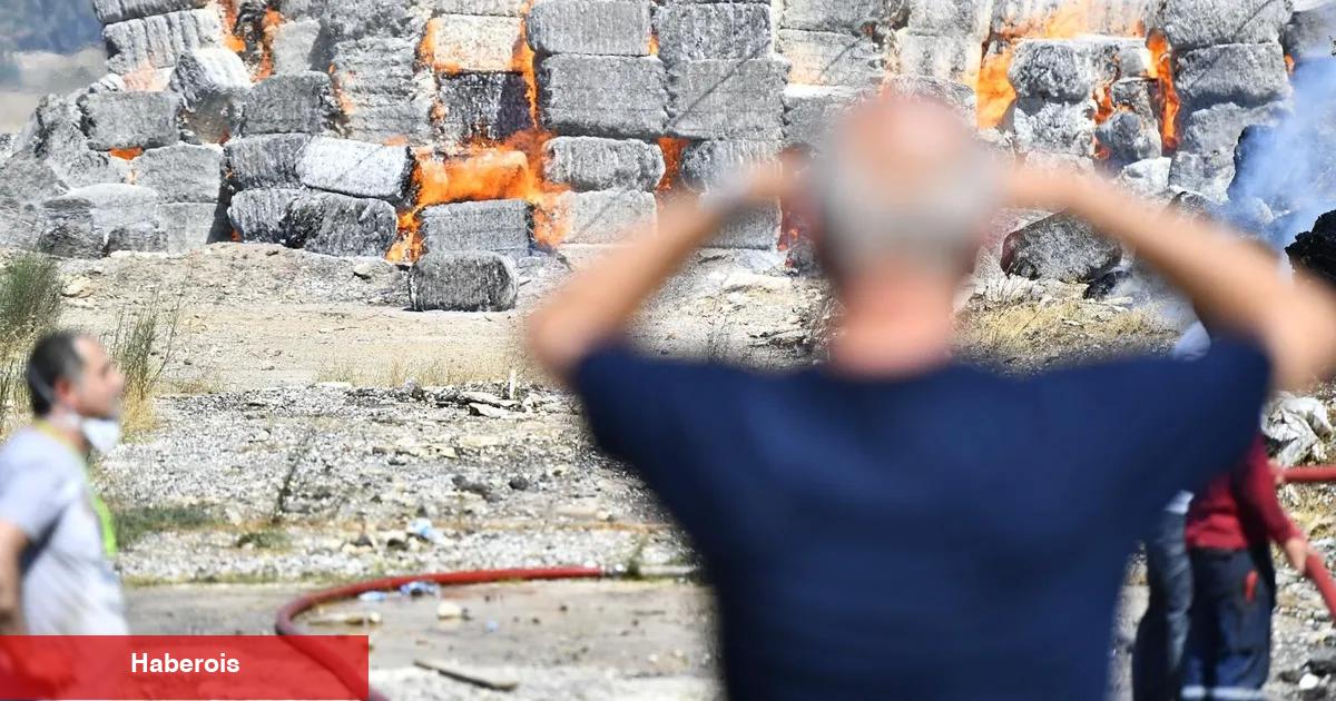 İzmir İtfaiyesi'nin yangınlarla gayreti sürüyor