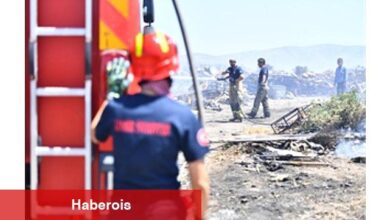 İzmir'de bir ayda 26 bin 260 hektar alan yandı