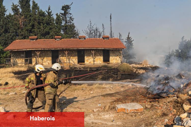 İzmir'de yangınlara karşı canla başla çaba ettiler