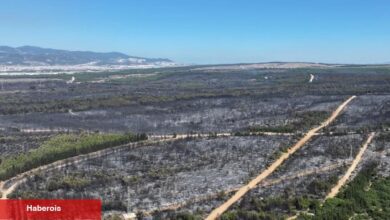 İzmir’de yangınlara karşı harikulâde yol haritası belirlendi