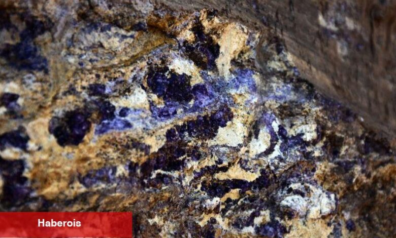 Japonya, az toprak elementlerine erişim için Çin'den garanti bekliyor - Haberois Japonya, az toprak elementlerine erişim için Çin'den garanti bekliyor