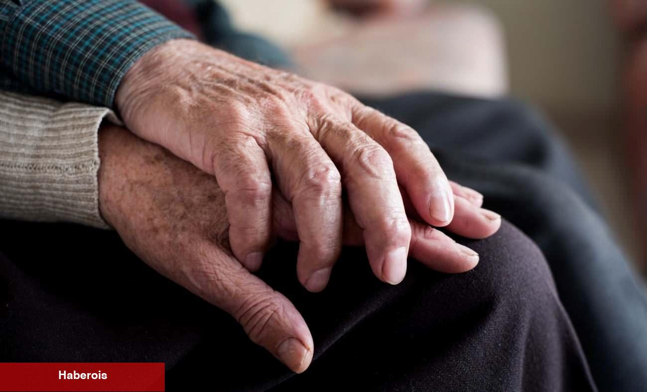Japonya'da yalnızlık sanayisi: Büyükanne kiralıyorlar - Haberois Japonya'da yalnızlık sanayisi: Büyükanne kiralıyorlar