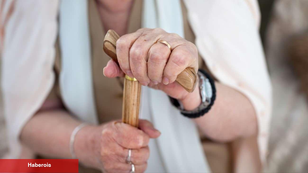 Japonya'da yalnızlık sanayisi: Büyükanne kiralıyorlar - Haberois Japonya'da yalnızlık sanayisi: Büyükanne kiralıyorlar