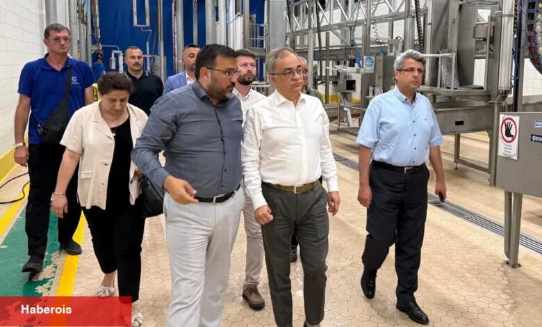 Karamürsel projeleri yerinde takipte - Haberois Karamürsel projeleri yerinde takipte