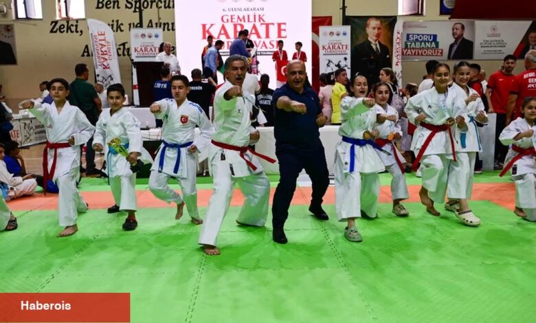 Karatenin kalbi Bursa Gemlik'te atıyor - Haberois Karatenin kalbi Bursa Gemlik'te atıyor