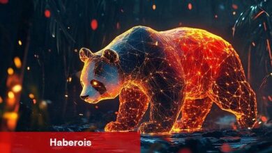 Kaspersky, APT41 casusluk akınında Güney Afrika'daki bir kuruluşun amaç alındığını bildirdi
