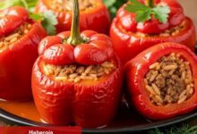 Kıymalı Biber Dolmas Tanımı