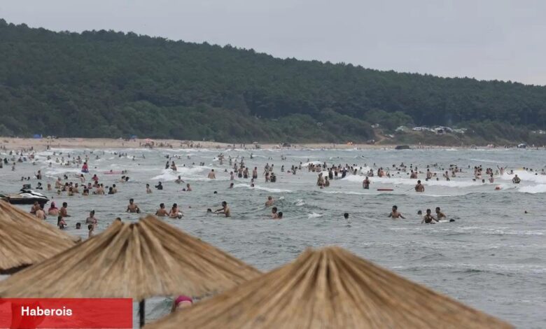 KOSKEM 1 haftada 235 can daha kurtardı - Haberois KOSKEM 1 haftada 235 can daha kurtardı