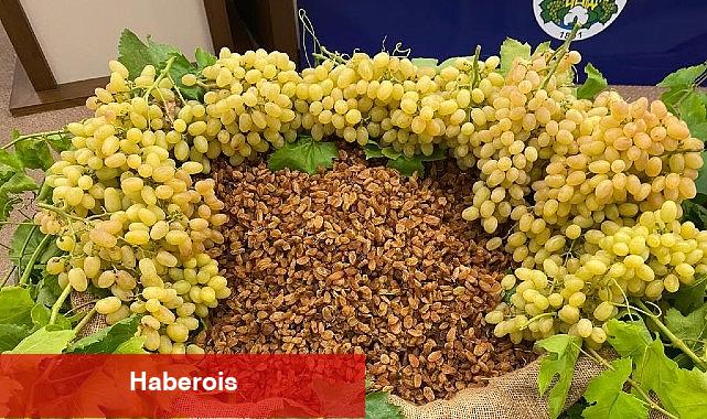 Kuru meyve dalında 12 ihracat şampiyonunun 11'i Egeli - Haberois Kuru meyve dalında 12 ihracat şampiyonunun 11'i Egeli
