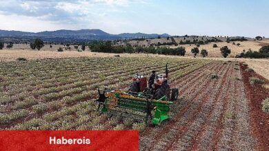 Lider Altay: "Kuraklığa Sağlam Bitki Takviyeleriyle Çiftçimize Yeni Fırsatlar Sunuyoruz" - Haberois Lider Altay: "Kuraklığa Sağlam Bitki Takviyeleriyle Çiftçimize Yeni Fırsatlar Sunuyoruz"
